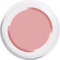 ABC-Nailstore GmbH Mattavärit sesonkiin Blush pink #1114