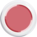 ABC-Nailstore GmbH Mattavärit sesonkiin Summer breeze romantic rouge #1119